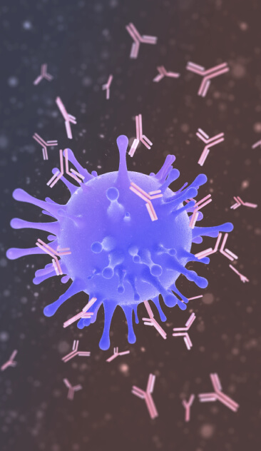 La supplémentation en colostrum bovin influe sur la fonction immune chez le chien news image