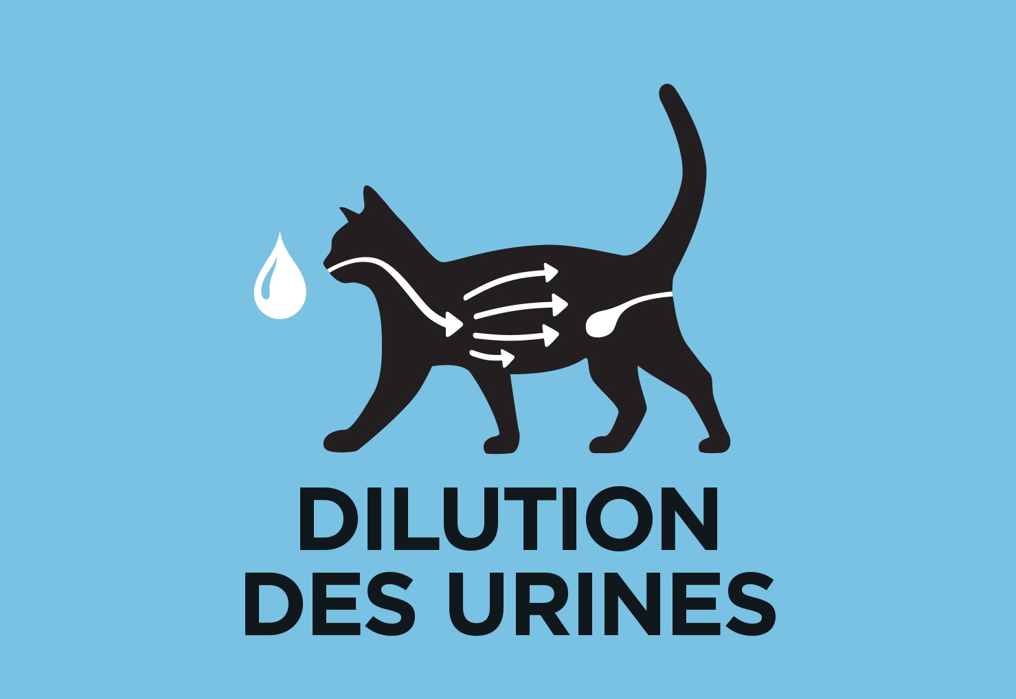 urine dillution image