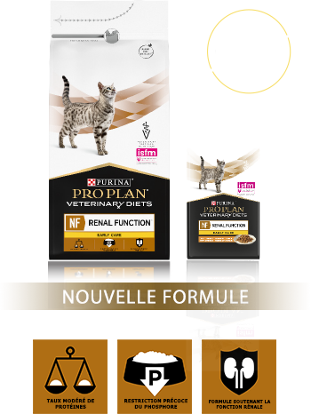 produit fonction rénale chat