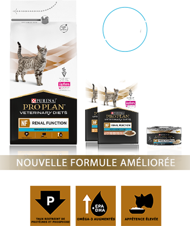 produit fonction rénale chat 2