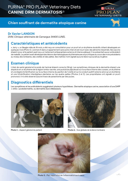 PPVD Canine DRM dermatite atopique canine