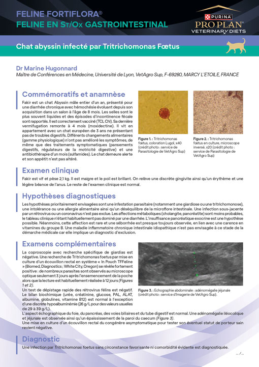 PPVD Feline FF+EN Tritrichomonas Foetus