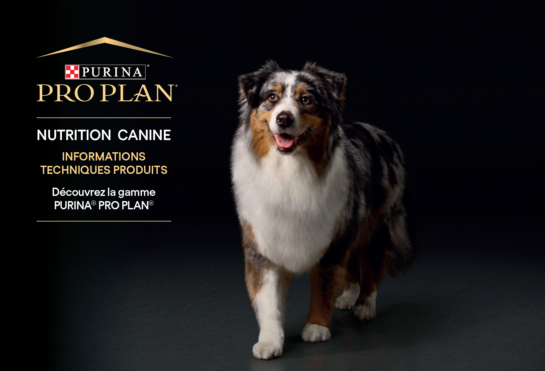 Planche de gamme - PRO PLAN® aliments physiologiques chien