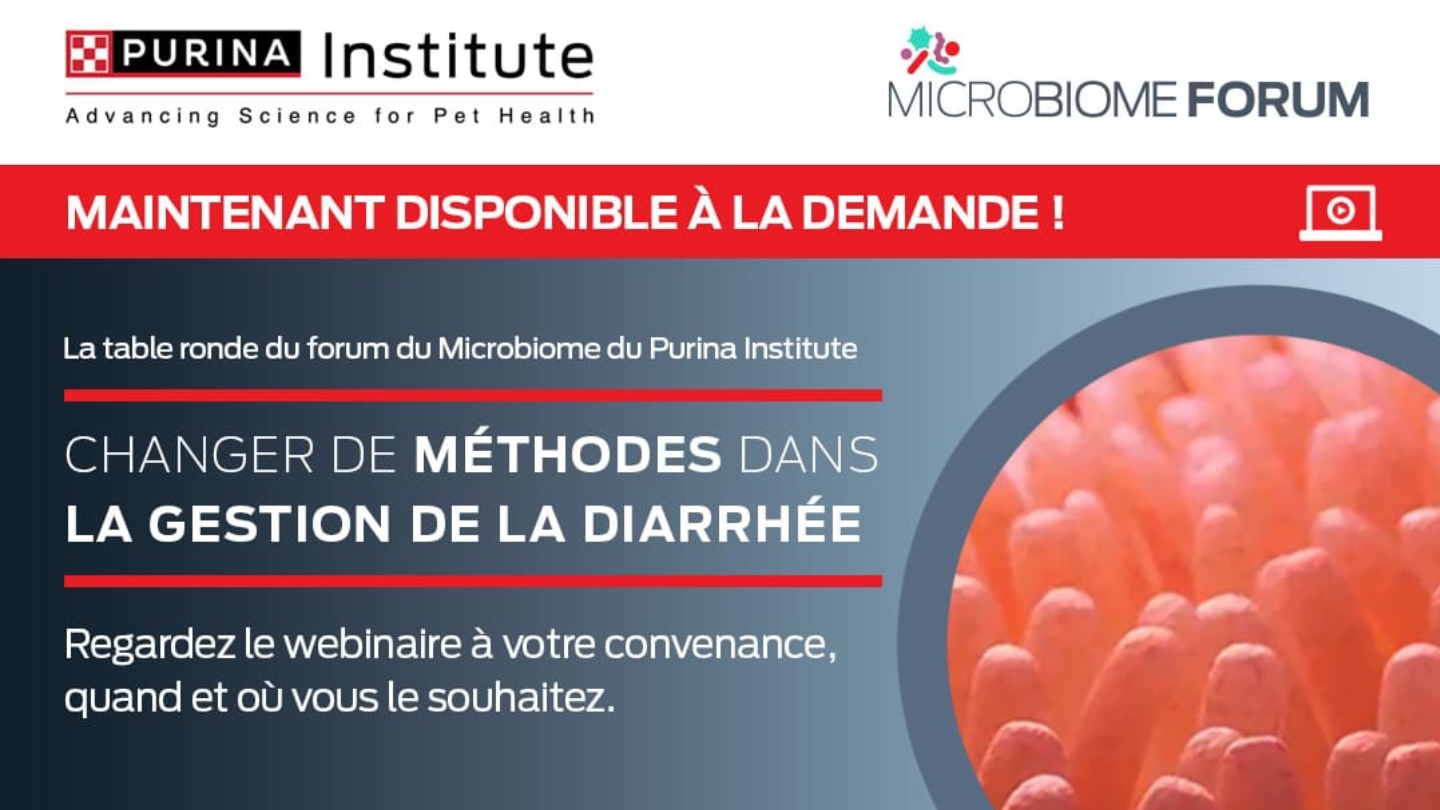 Un nouveau webinaire disponible !