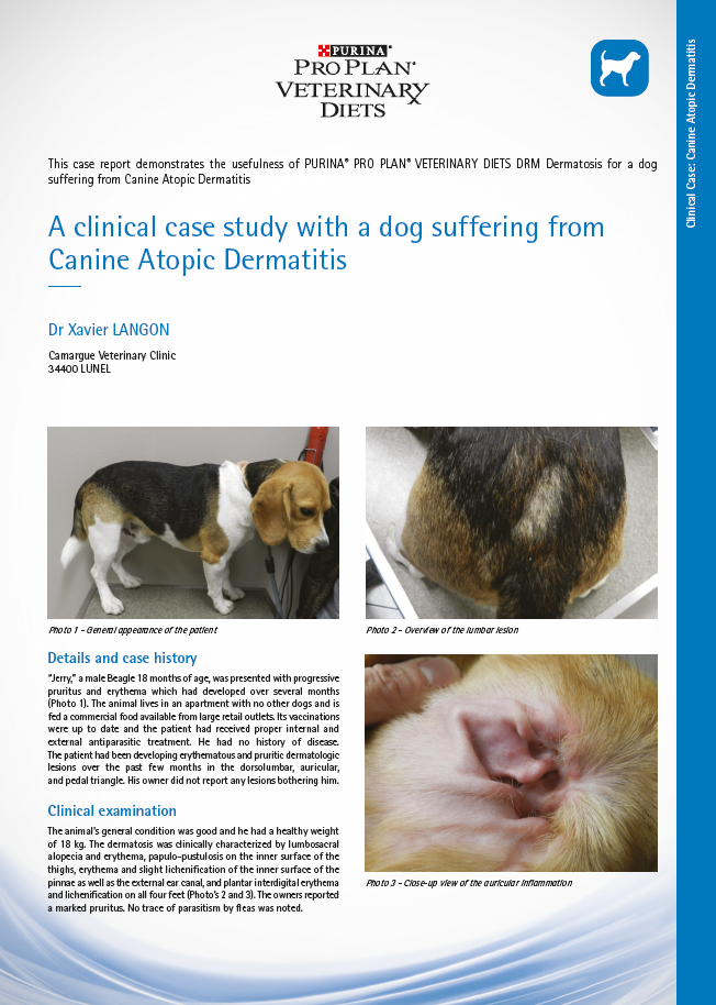 Canine DRM Dermatosis Atopic Dermatitis case study