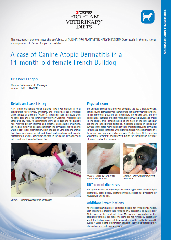 Étude de cas Canine DRM Dermatosis sur la dermatite atopique