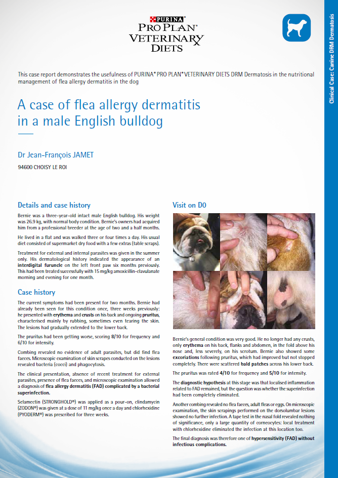 Canine DRM Dermatosis flea allergy dermatitis case study