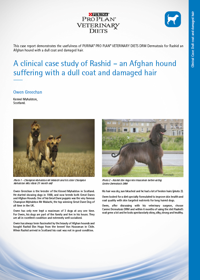 Canine DRM Dermatosis dull coat and damaged hair case study