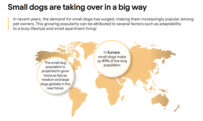 Expand your knowledge about small dog nutrition