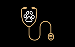 Je suis docteur vétérinaire.