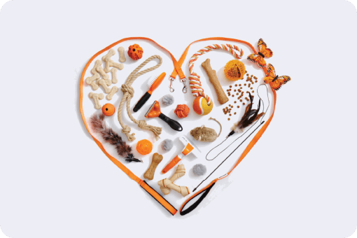 Miniature des outils pratiques