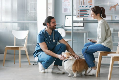 Engaging clients regarding pet obesity