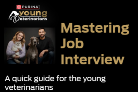 Mastering the Job Interview