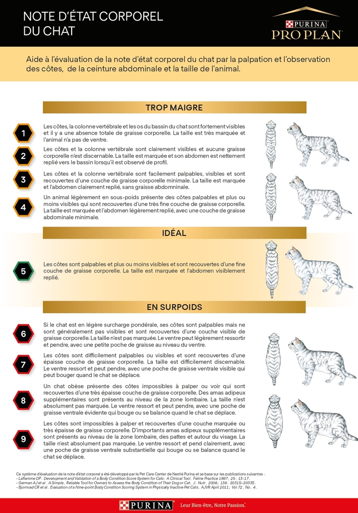 Note d’état corporel du chat - PRO PLAN VETERINARY DIETS®