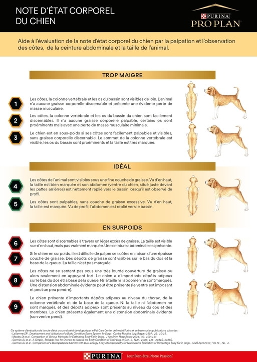 Note d'état corporel du chien - PRO PLAN VETERINARY DIETS®