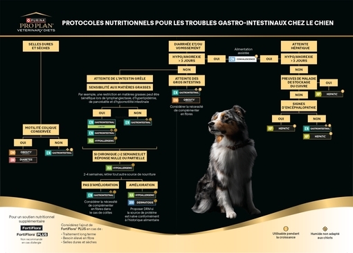Protocoles nutritionnels pour chiens et chats Gamme Gastroentérologie - PRO PLAN VETERINARY DIETS®