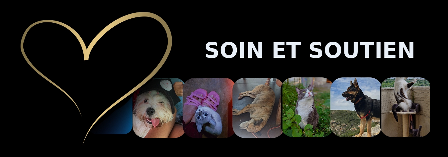 Soin et soutien