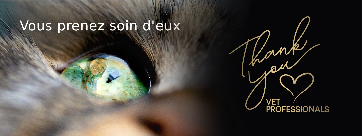 Merci à tous les vétérinaires et ASV