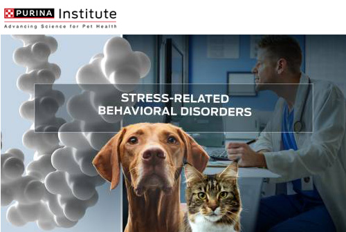 Troubles du comportement liés au stress