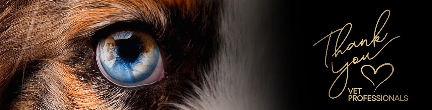 Merci aux professionnels vétérinaires