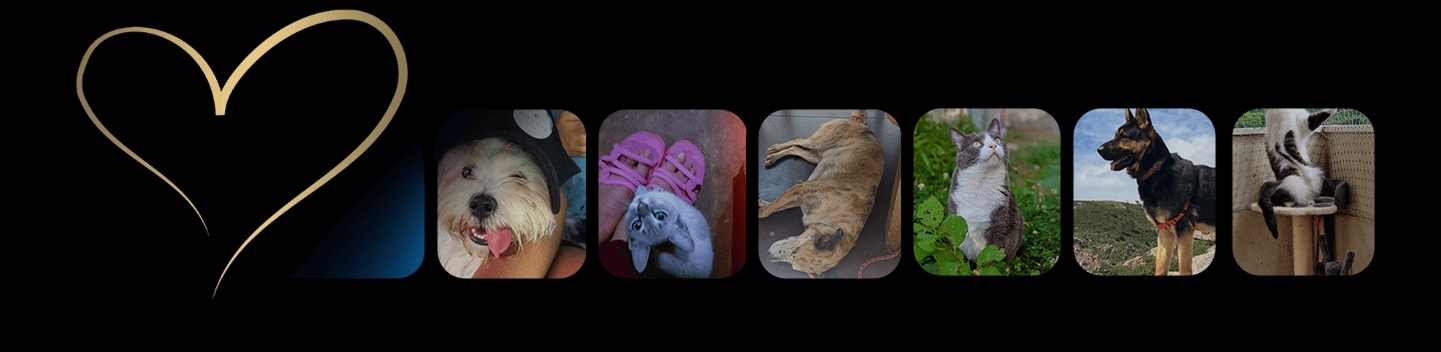 Nous voyons votre attention et votre soutien