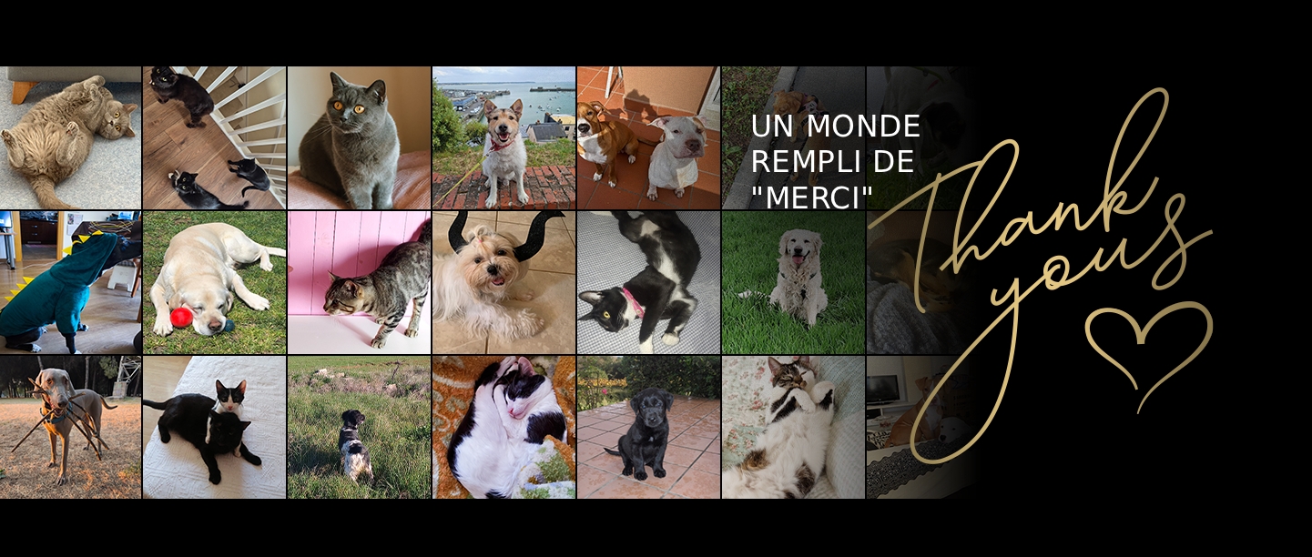 Un monde rempli de "Merci"