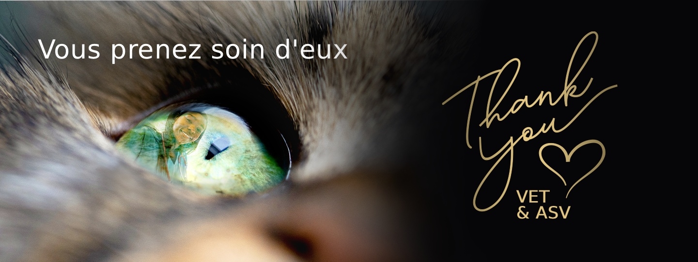 Merci à tous les vétérinaires et ASV