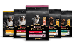 Canine PRO PLAN® Chien