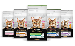 Feline PRO PLAN® Chat