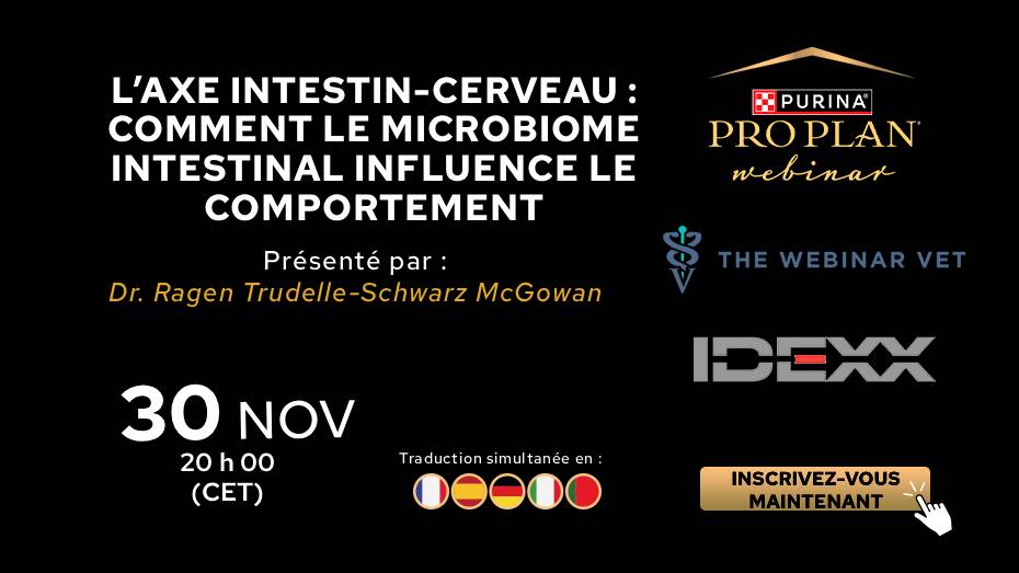 L’axe intestin-cerveau : comment le microbiome intestinal influence le comportement