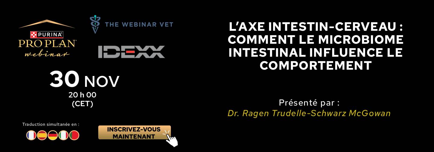 L’axe intestin-cerveau : comment le microbiome intestinal influence le comportement