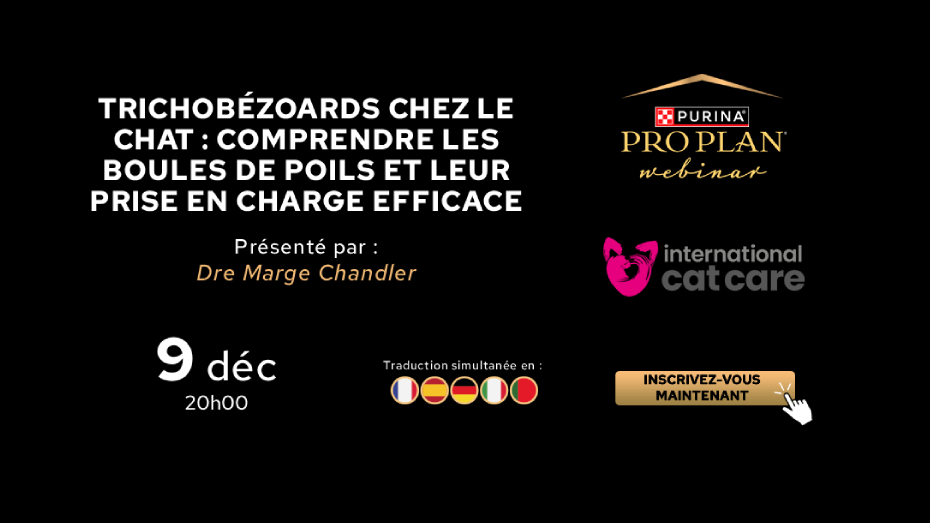 Webinaire Pro Plan sur les trichobézoards chez le chat et leur prise en charge, le 9 décembre à 20h00