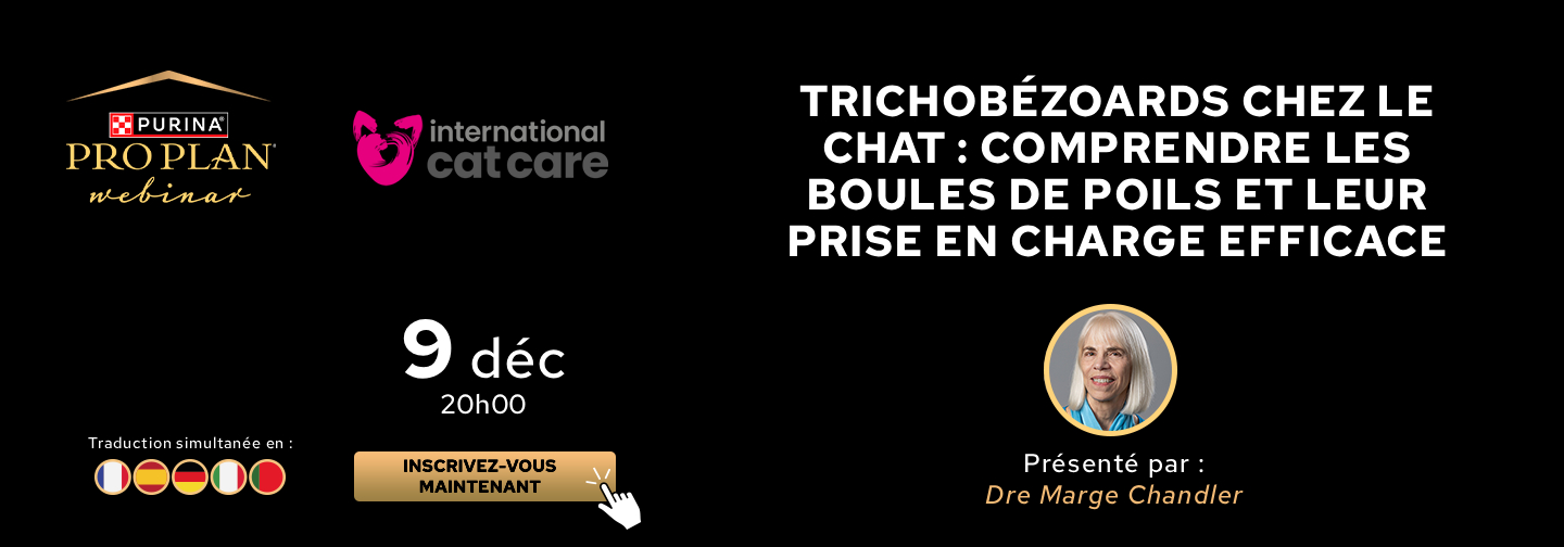 Webinaire Pro Plan sur les trichobézoards chez le chat et leur prise en charge, le 9 décembre à 20h00