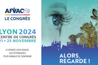 AFVAC le Congrès Lyon 2024 - Alors, regarde !