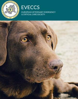 European College of Veterinary Emergency and Critical Care (ECVECC)