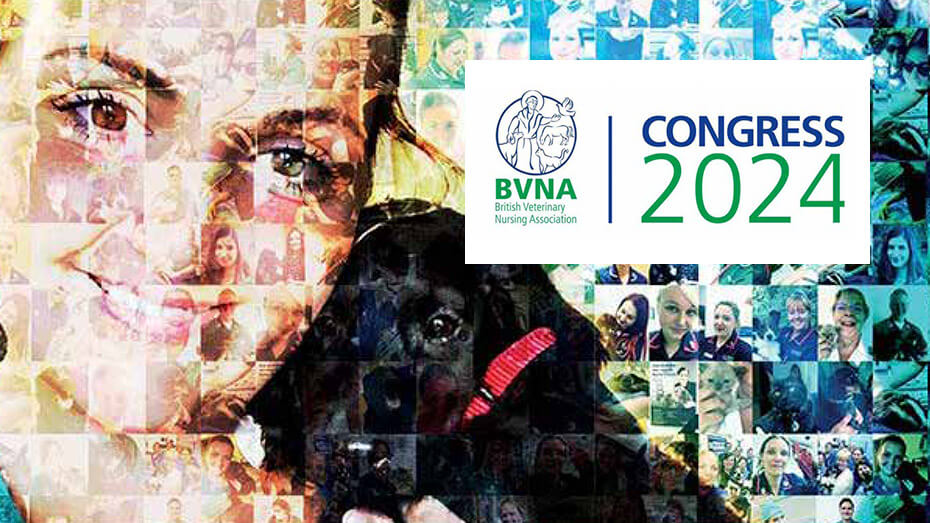 BVNA Congress 2024