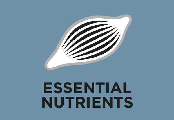 Concentration élevée de nutriments essentiels