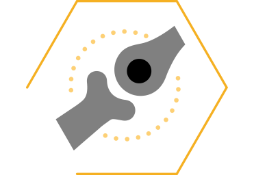 Soutient la mobilité et la flexibilité des articulations