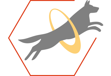 Favorise la production d'énergie et contribue à la vitalité et à la bonne santé générale