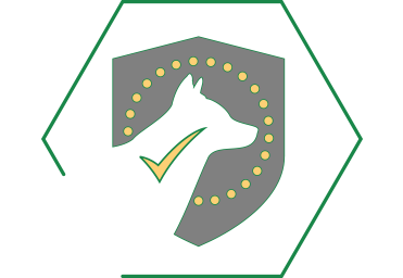 Soutient le système immunitaire