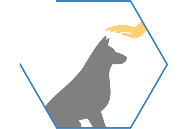 Aider à apaiser les comportements excessifs (sauts et aboiements intempestifs, chien qui tourne ou trépigne)