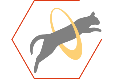 Favorise la production d'énergie et contribue à la vitalité et à la bonne santé générale