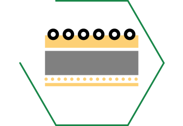 Extraits de levure, source de bêta-glucanes, qui renforcent les défenses naturelles et soutiennent la réponse immunitaire