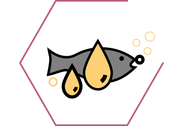 De l’huile de saumon, source d’Oméga 3 comme l'acide docosahexaénoïque (DHA) et l'acide eicosapentaénoïque (EPA), qui aide à 