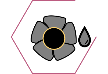De l’huile de lin, source importante d’acide alpha-linolénique Oméga 3 et d’acide linoléique Oméga 6