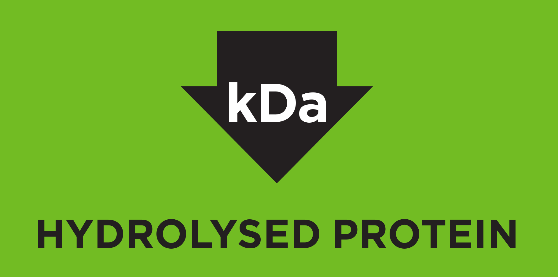 Protéine hydrolysée