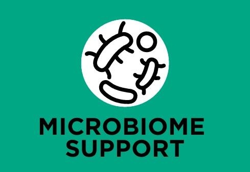 Contient des prébiotiques (inuline) pour améliorer l'équilibre de la flore microbienne et la santé digestive