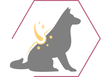 Soutient une peau saine et souple et un pelage brillant