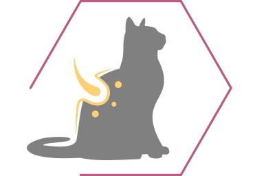 Soutient une peau saine et souple et un pelage brillant