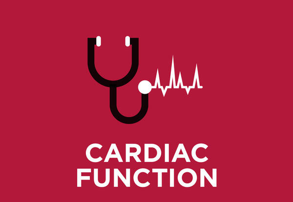 Fonction cardiaque